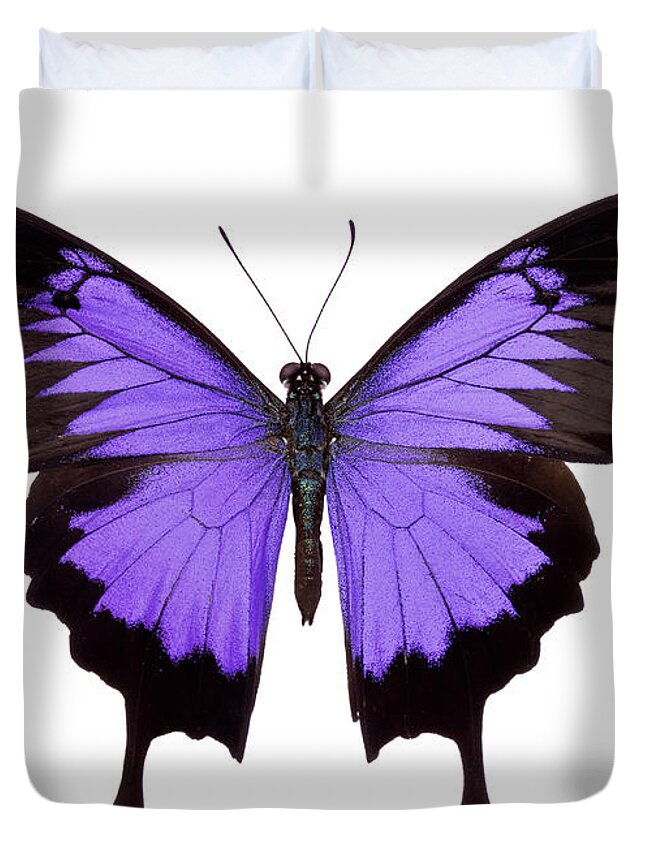 Baggage Covers Purple Blue Butterfly Yellow Background Washable Protective Case 